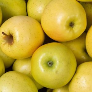 Pommes golden