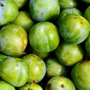 Prunes reine claude